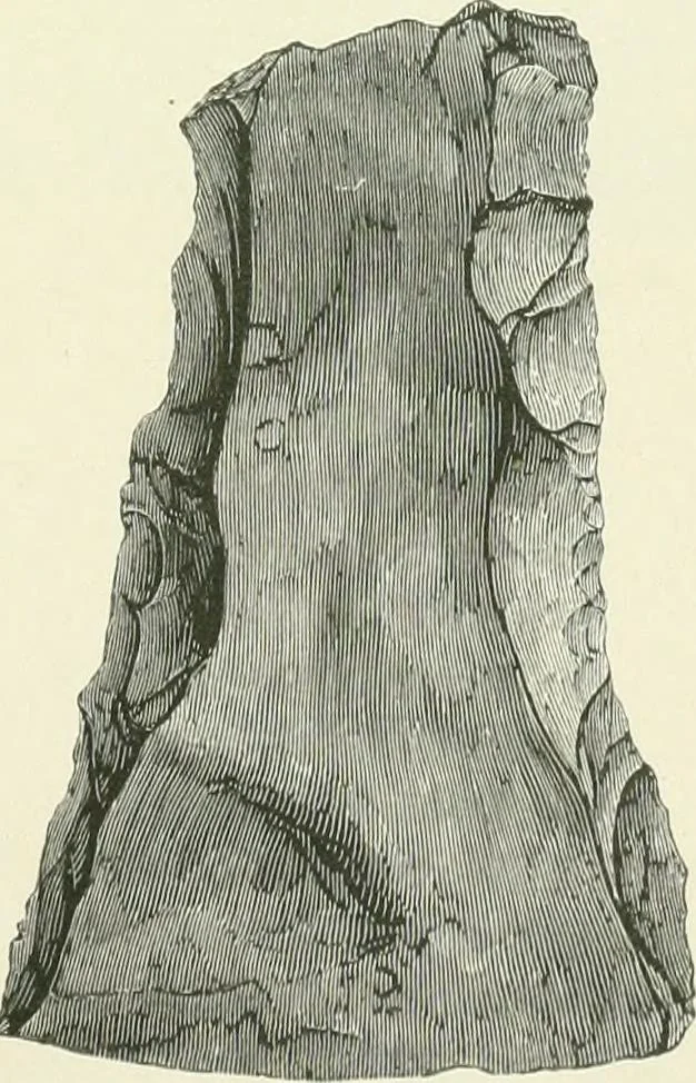 An illustration from Pre-historic times: as illustrated by ancient remains and the manners and customs of modern savages, 1900, leaf 164