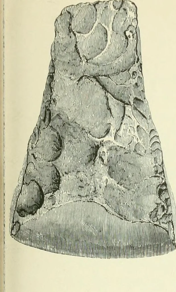 An illustration from Pre-historic times: as illustrated by ancient remains and the manners and customs of modern savages, 1900, leaf 166