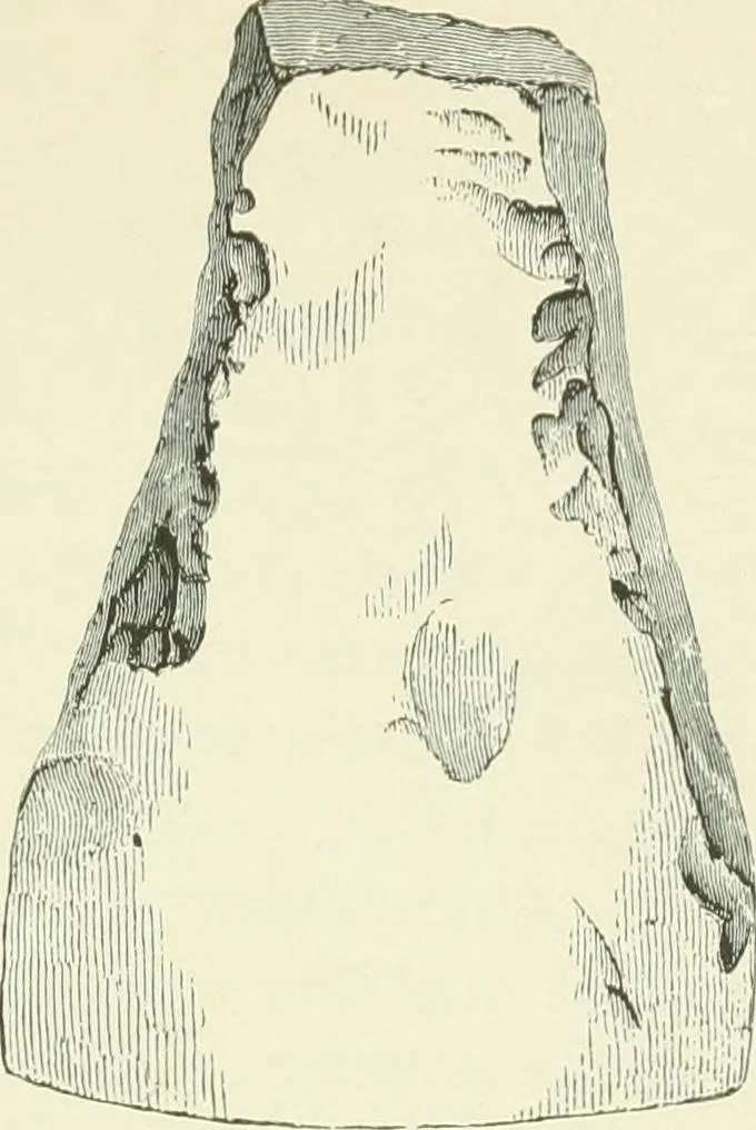 An illustration from Pre-historic times: as illustrated by ancient remains and the manners and customs of modern savages, 1900, leaf 166
