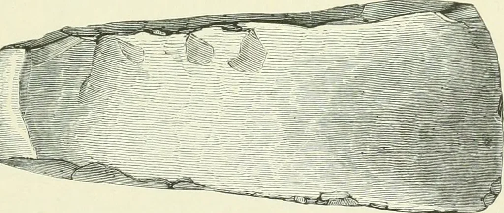 An illustration from Pre-historic times: as illustrated by ancient remains and the manners and customs of modern savages, 1900, leaf 166