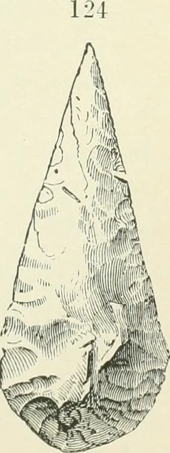 An illustration from Pre-historic times: as illustrated by ancient remains and the manners and customs of modern savages, 1900, leaf 166