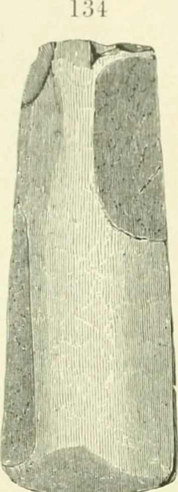 An illustration from Pre-historic times: as illustrated by ancient remains and the manners and customs of modern savages, 1900, leaf 177