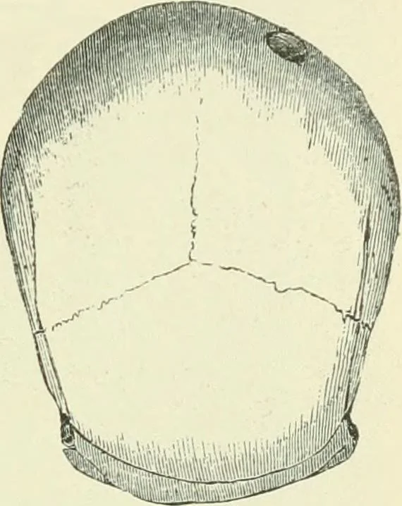An illustration from Pre-historic times: as illustrated by ancient remains and the manners and customs of modern savages, 1900, leaf 236