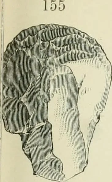 An illustration from Pre-historic times: as illustrated by ancient remains and the manners and customs of modern savages, 1900, leaf 238