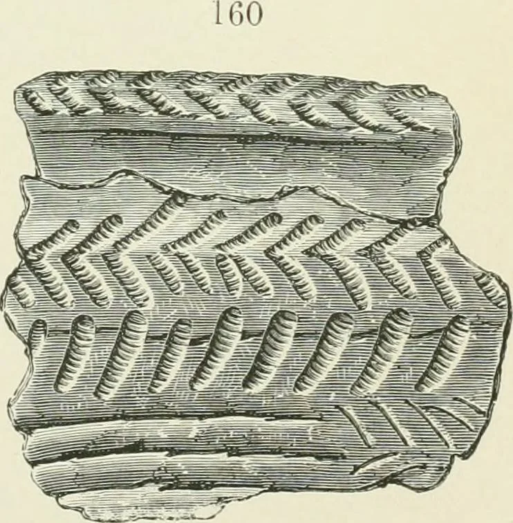 An illustration from Pre-historic times: as illustrated by ancient remains and the manners and customs of modern savages, 1900, leaf 238