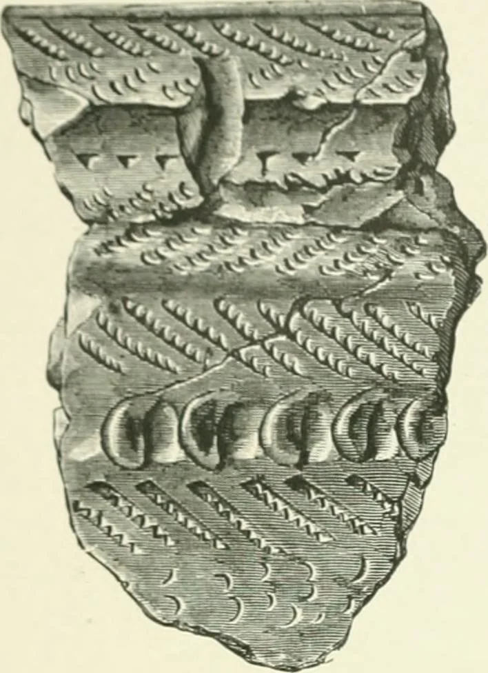 An illustration from Pre-historic times: as illustrated by ancient remains and the manners and customs of modern savages, 1900, leaf 241