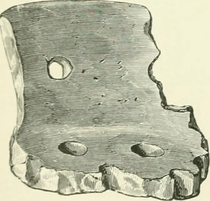 An illustration from Pre-historic times: as illustrated by ancient remains and the manners and customs of modern savages, 1900, leaf 241