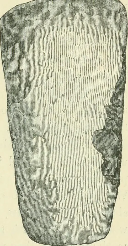 An illustration from Pre-historic times: as illustrated by ancient remains and the manners and customs of modern savages, 1900, leaf 270