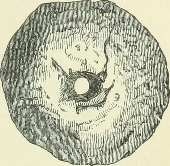 An illustration from Pre-historic times: as illustrated by ancient remains and the manners and customs of modern savages, 1900, leaf 272