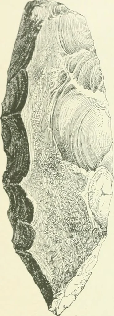 An illustration from Pre-historic times: as illustrated by ancient remains and the manners and customs of modern savages, 1900, leaf 319