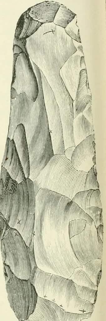 An illustration from Pre-historic times: as illustrated by ancient remains and the manners and customs of modern savages, 1900, leaf 319