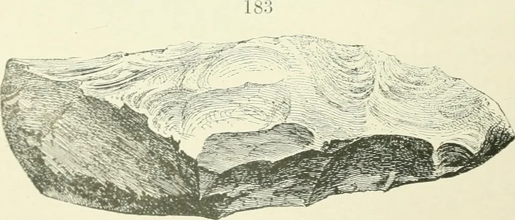 An illustration from Pre-historic times: as illustrated by ancient remains and the manners and customs of modern savages, 1900, leaf 319