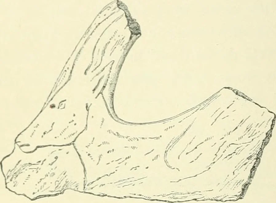 An illustration from Pre-historic times: as illustrated by ancient remains and the manners and customs of modern savages, 1900, leaf 407