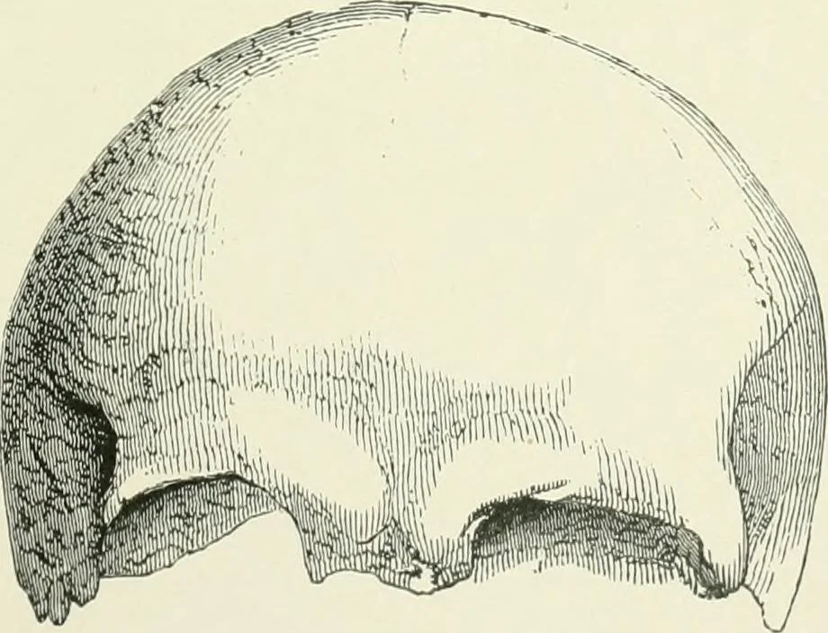 An illustration from Pre-historic times: as illustrated by ancient remains and the manners and customs of modern savages, 1900, leaf 414