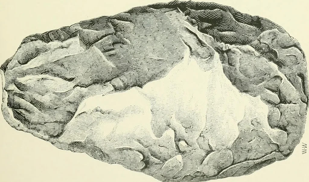 An illustration from Pre-historic times: as illustrated by ancient remains and the manners and customs of modern savages, 1900, leaf 422