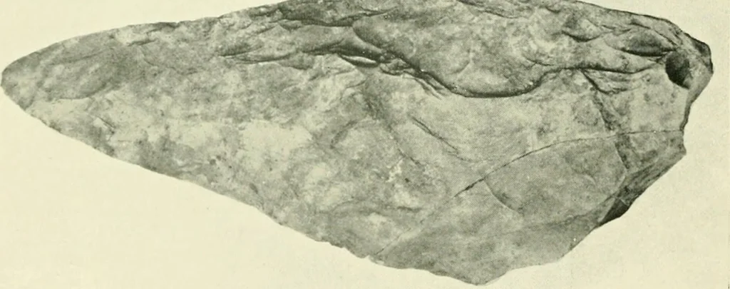 An illustration from Pre-historic times: as illustrated by ancient remains and the manners and customs of modern savages, 1900, leaf 435