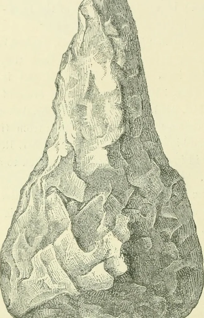An illustration from Pre-historic times: as illustrated by ancient remains and the manners and customs of modern savages, 1900, leaf 437