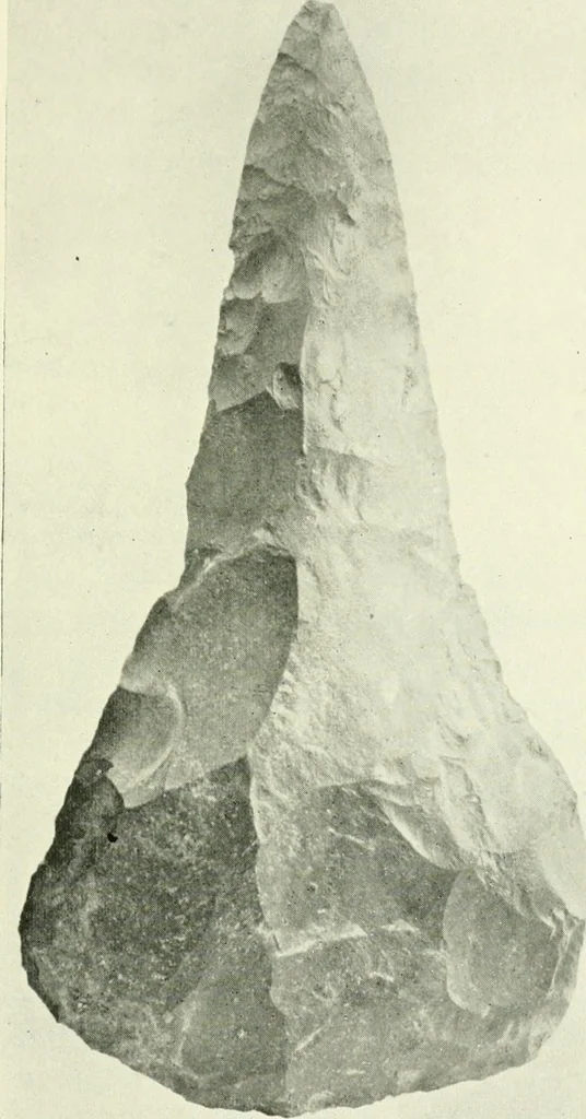 An illustration from Pre-historic times: as illustrated by ancient remains and the manners and customs of modern savages, 1900, leaf 438