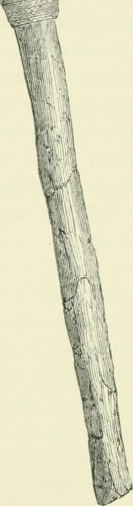 An illustration from Pre-historic times: as illustrated by ancient remains and the manners and customs of modern savages, 1900, leaf 565