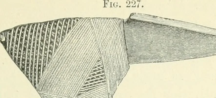 An illustration from Pre-historic times: as illustrated by ancient remains and the manners and customs of modern savages, 1900, leaf 566