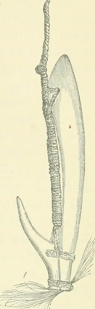 An illustration from Pre-historic times: as illustrated by ancient remains and the manners and customs of modern savages, 1900, leaf 568