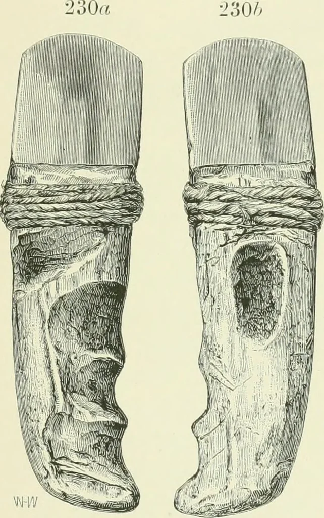 An illustration from Pre-historic times: as illustrated by ancient remains and the manners and customs of modern savages, 1900, leaf 594