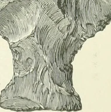 An illustration from Pre-historic times: as illustrated by ancient remains and the manners and customs of modern savages, 1900, leaf 594