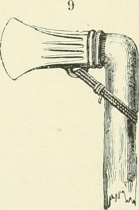 An illustration from Pre-historic times: as illustrated by ancient remains and the manners and customs of modern savages, 1900, leaf 66