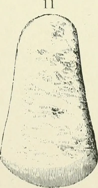 An illustration from Pre-historic times: as illustrated by ancient remains and the manners and customs of modern savages, 1900, leaf 66