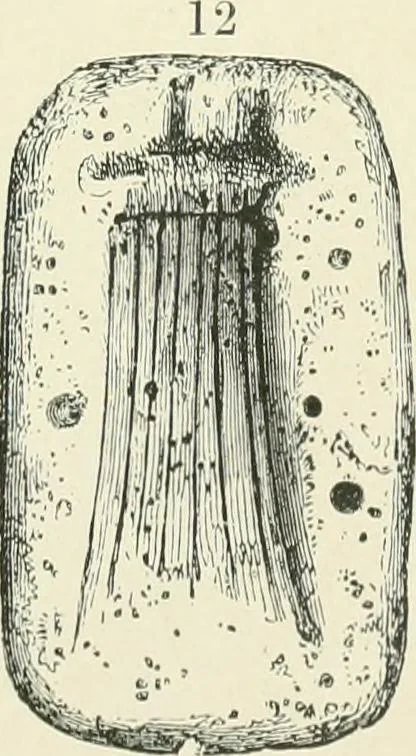 An illustration from Pre-historic times: as illustrated by ancient remains and the manners and customs of modern savages, 1900, leaf 66