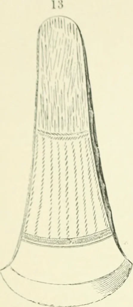 An illustration from Pre-historic times: as illustrated by ancient remains and the manners and customs of modern savages, 1900, leaf 69