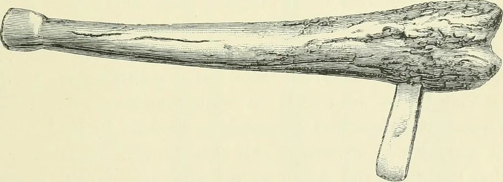 An illustration from Pre-historic times: as illustrated by ancient remains and the manners and customs of modern savages, 1900, leaf 70
