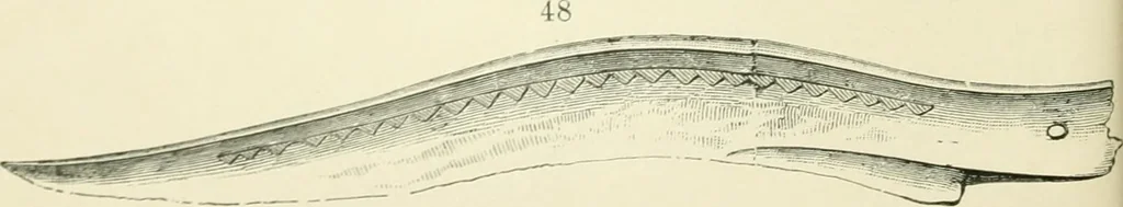 An illustration from Pre-historic times: as illustrated by ancient remains and the manners and customs of modern savages, 1900, leaf 81
