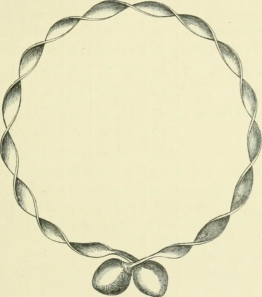 An illustration from Pre-historic times: as illustrated by ancient remains and the manners and customs of modern savages, 1900, leaf 92