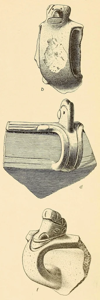 An illustration from Prehistoric objects from a shell-heap at Erin bay, Trinidad, 1914, leaf 15
