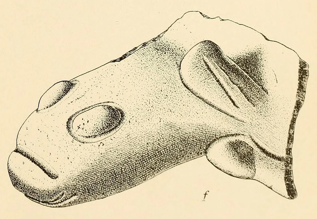 An illustration from Prehistoric objects from a shell-heap at Erin bay, Trinidad, 1914, leaf 23
