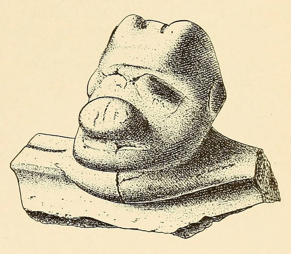 An illustration from Prehistoric objects from a shell-heap at Erin bay, Trinidad, 1914, leaf 27