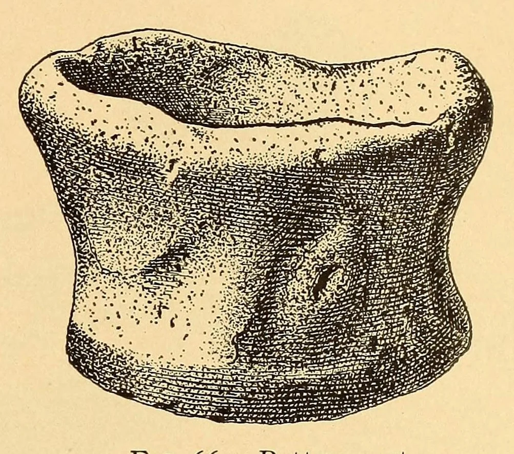 An illustration from Prehistoric objects from a shell-heap at Erin bay, Trinidad, 1914, leaf 29