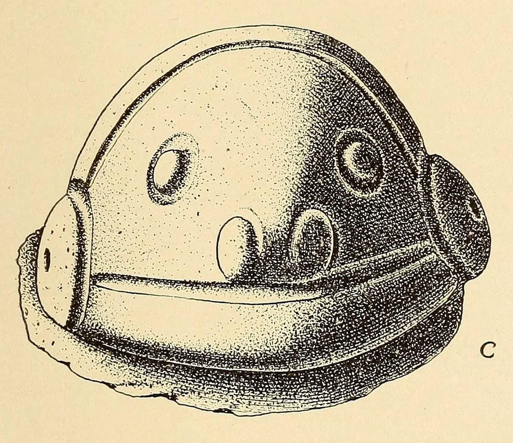 An illustration from Prehistoric objects from a shell-heap at Erin bay, Trinidad, 1914, leaf 37