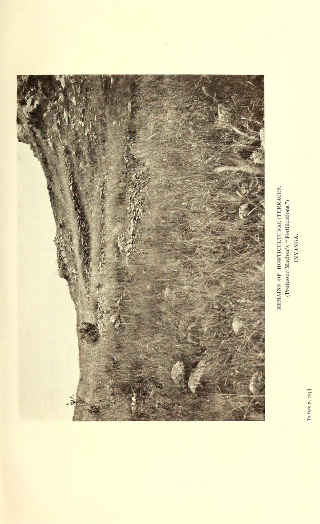 An illustration from Prehistoric Rhodesia; an examination of the historical, ethnological and archaeological evidencesas to the origin and age of the rock mines and stone buildings, with a gazetteer of mediaeval south -east Africa, 915 A.D. to 1760 A.D., and the countries of the Monomotapa, Manica, Sabia, Quiteve, Sofala, and Mozambique, 1909, leaf 273