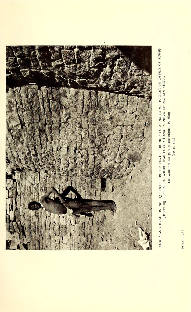 An illustration from Prehistoric Rhodesia; an examination of the historical, ethnological and archaeological evidencesas to the origin and age of the rock mines and stone buildings, with a gazetteer of mediaeval south -east Africa, 915 A.D. to 1760 A.D., and the countries of the Monomotapa, Manica, Sabia, Quiteve, Sofala, and Mozambique, 1909, leaf 313