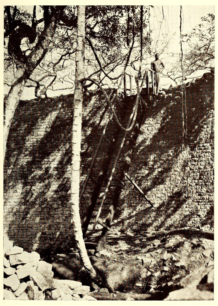 An illustration from Prehistoric Rhodesia; an examination of the historical, ethnological and archaeological evidencesas to the origin and age of the rock mines and stone buildings, with a gazetteer of mediaeval south -east Africa, 915 A.D. to 1760 A.D., and the countries of the Monomotapa, Manica, Sabia, Quiteve, Sofala, and Mozambique, 1909, leaf 475