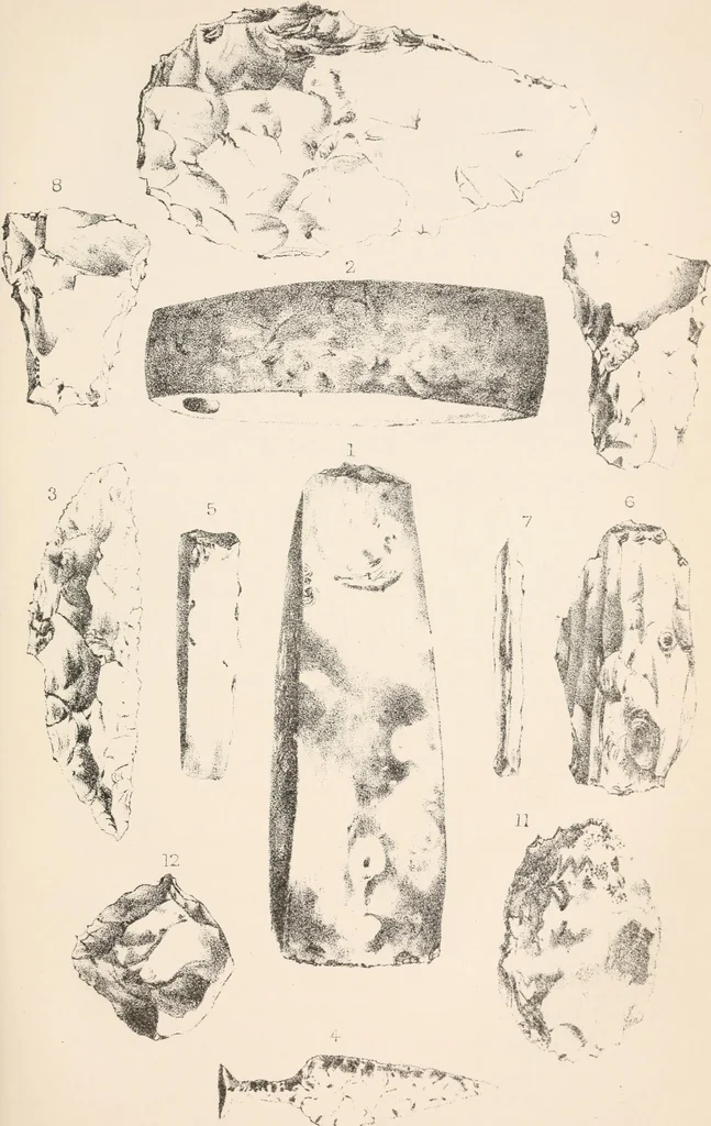 An illustration from Pre-historic times, as illustrated by ancient remains and the manners and customs of modern savages, 1892, leaf 112