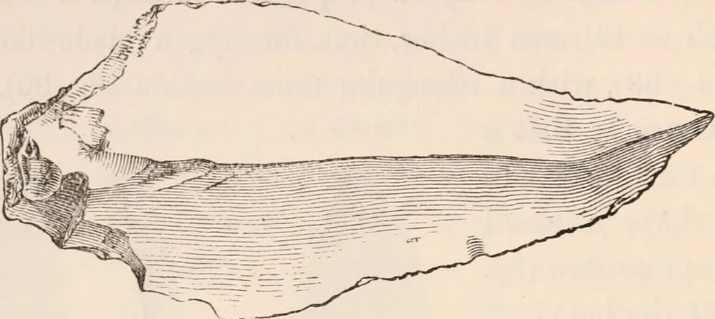 An illustration from Pre-historic times, as illustrated by ancient remains and the manners and customs of modern savages, 1892, leaf 123
