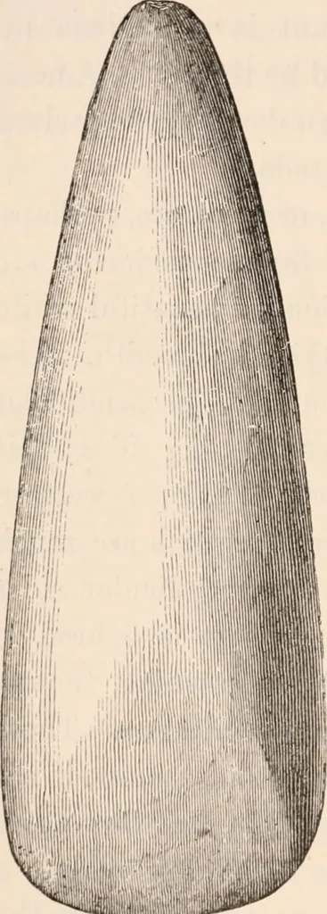 An illustration from Pre-historic times, as illustrated by ancient remains and the manners and customs of modern savages, 1892, leaf 129