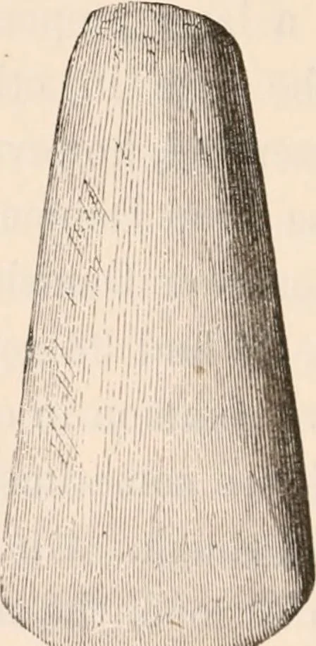 An illustration from Pre-historic times, as illustrated by ancient remains and the manners and customs of modern savages, 1892, leaf 129