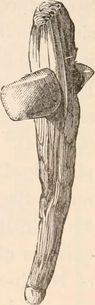 An illustration from Pre-historic times, as illustrated by ancient remains and the manners and customs of modern savages, 1892, leaf 129