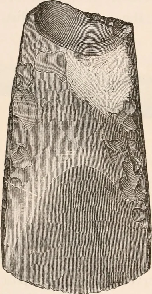 An illustration from Pre-historic times, as illustrated by ancient remains and the manners and customs of modern savages, 1892, leaf 131