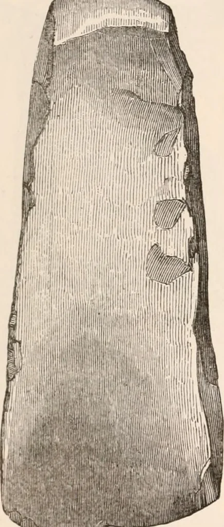An illustration from Pre-historic times, as illustrated by ancient remains and the manners and customs of modern savages, 1892, leaf 137