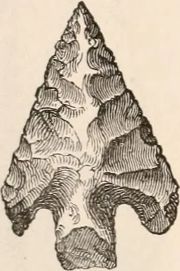 An illustration from Pre-historic times, as illustrated by ancient remains and the manners and customs of modern savages, 1892, leaf 141